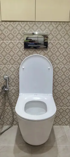 Установка гигиенического душа